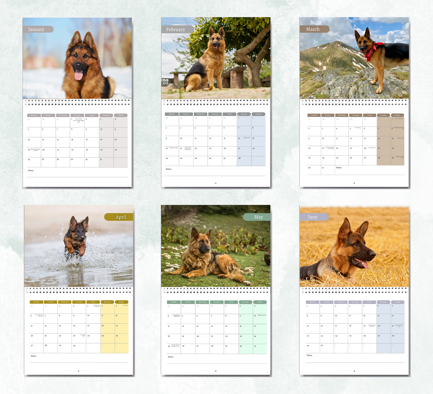 German Shepherd Calendar 2027