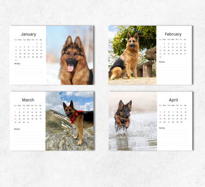 German Shepherd Desk Calendar 2027-2028