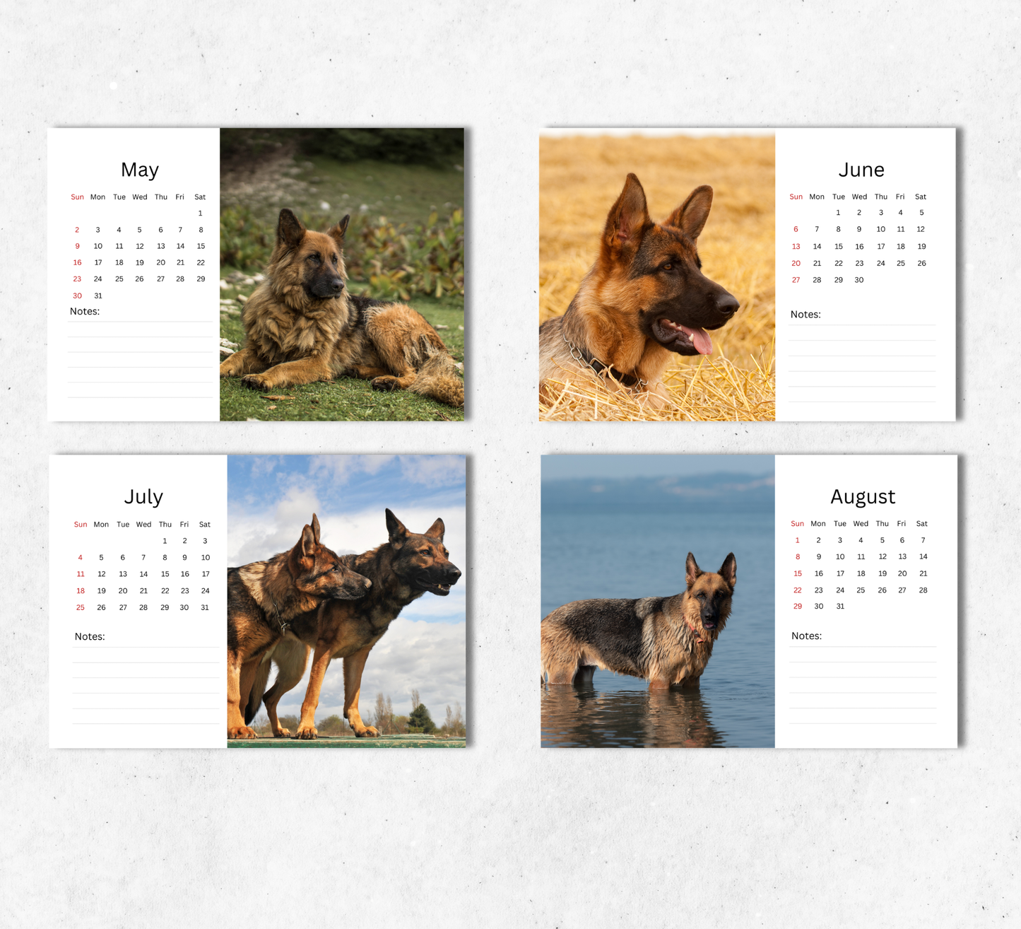 German Shepherd Desk Calendar 2027-2028