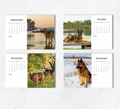 German Shepherd Desk Calendar 2027-2028