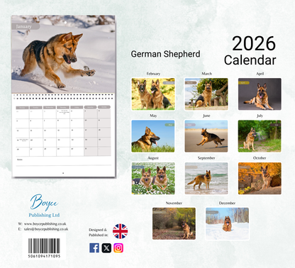 German Shepherd Calendar 2026