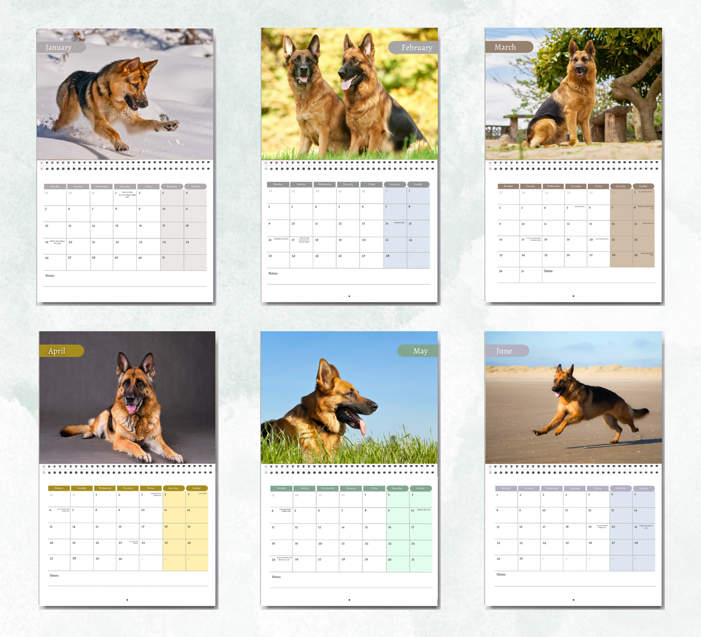 German Shepherd Calendar 2026