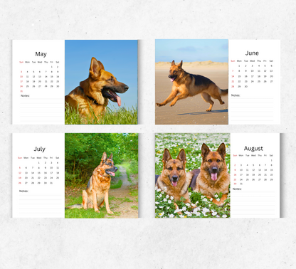 German Shepherd Desk Calendar 2026-2027