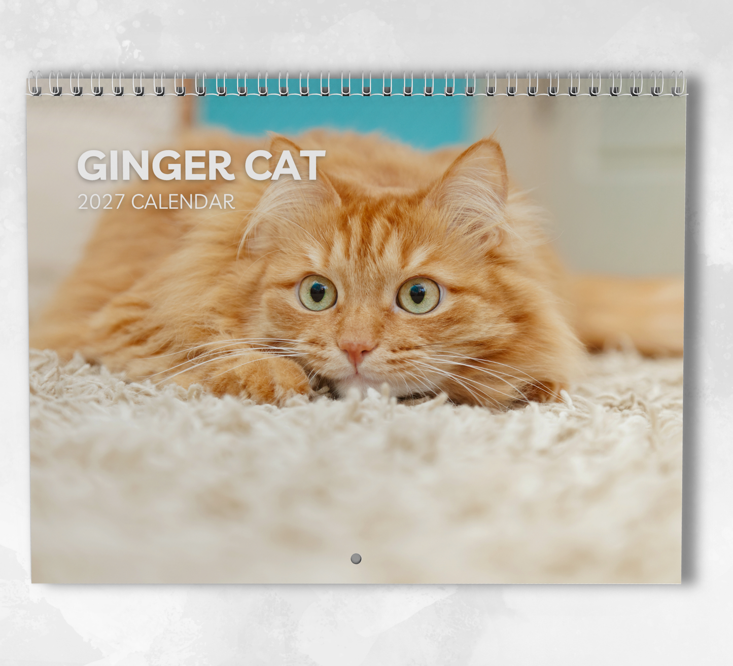 Ginger Cat Calendar 2027