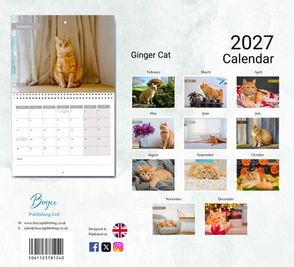 Ginger Cat Calendar 2027