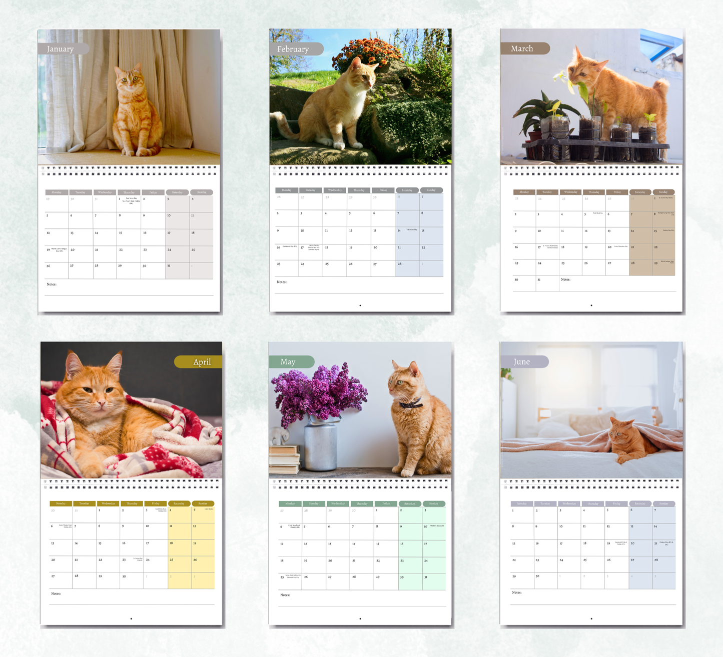 Ginger Cat Calendar 2027