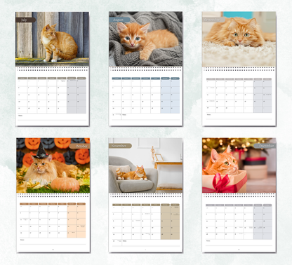 Ginger Cat Calendar 2027