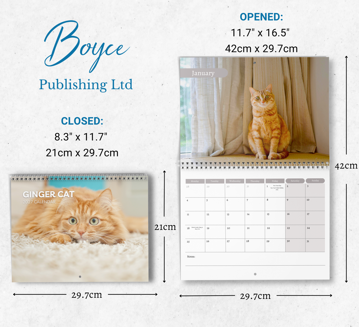 Ginger Cat Calendar 2027