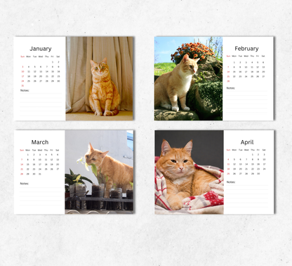 Ginger Cat Desk Calendar 2027-2028
