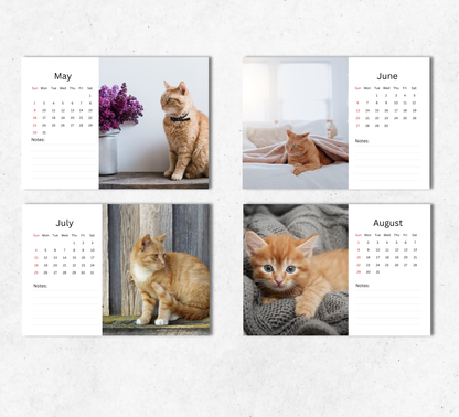 Ginger Cat Desk Calendar 2027-2028