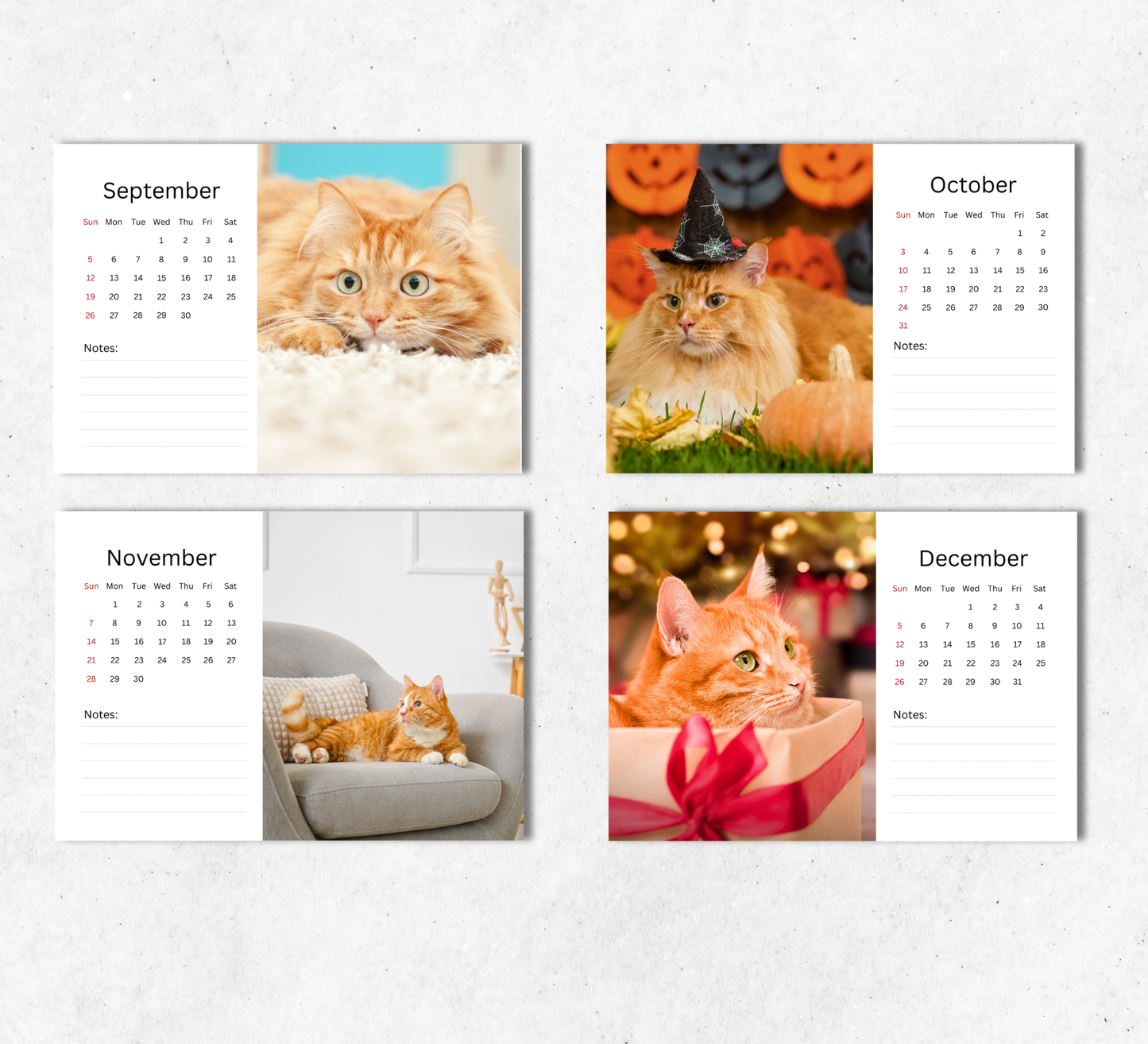 Ginger Cat Desk Calendar 2027-2028