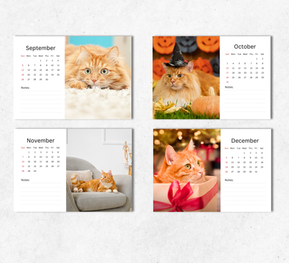 Ginger Cat Desk Calendar 2027-2028