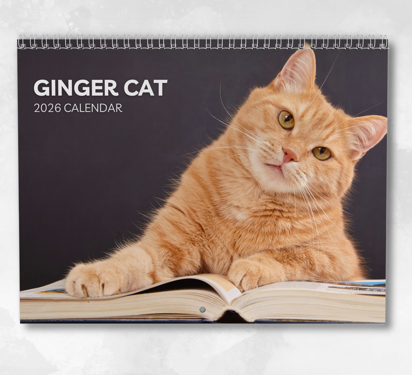 Ginger Cat Calendar 2026