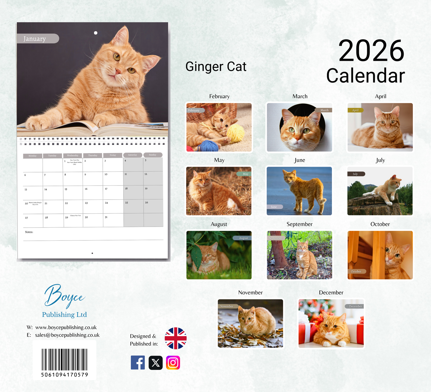 Ginger Cat Calendar 2026