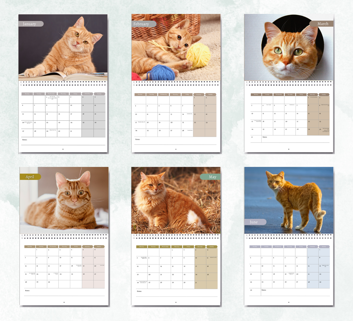 Ginger Cat Calendar 2026