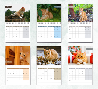 Ginger Cat Calendar 2026