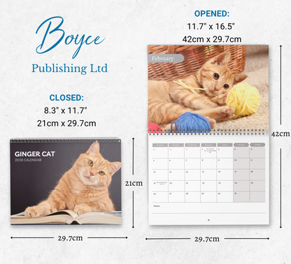 Ginger Cat Calendar 2026