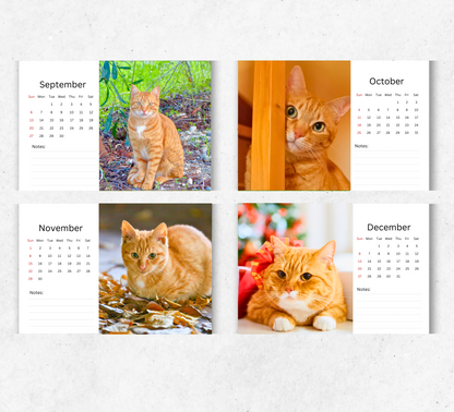 Ginger Desk Calendar 2026-2027