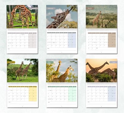 Giraffe Calendar 2027