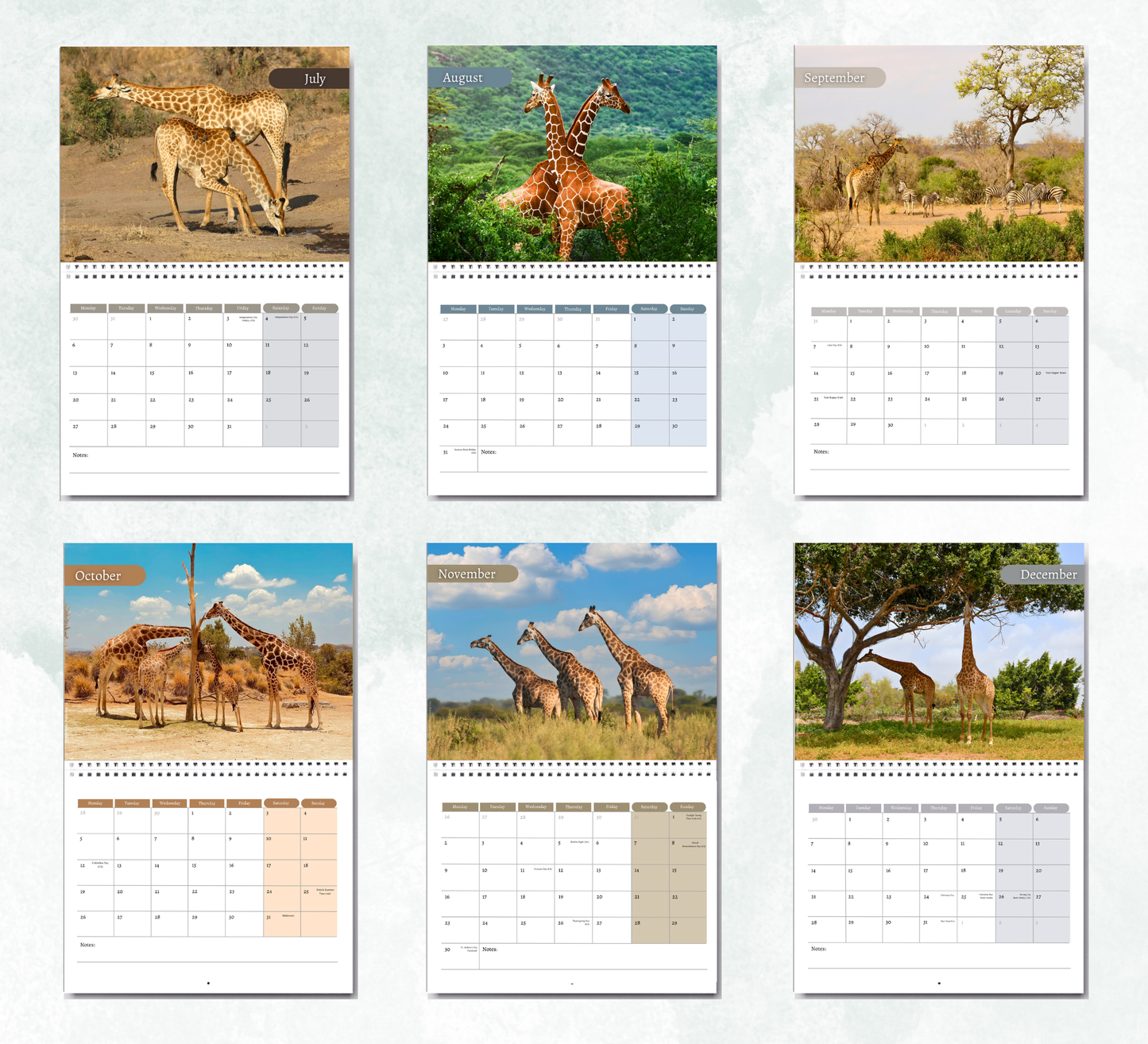 Giraffe Calendar 2027