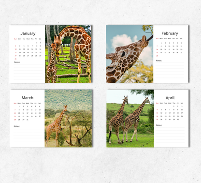 Giraffe Desk Calendar 2027-2028