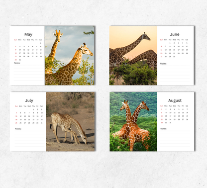 Giraffe Desk Calendar 2027-2028