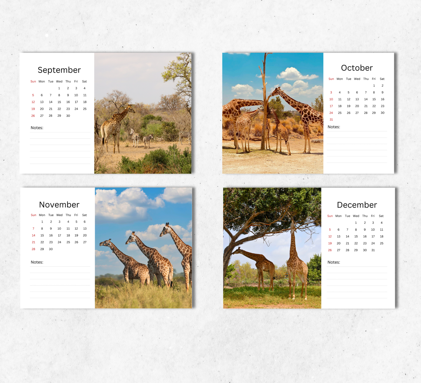 Giraffe Desk Calendar 2027-2028
