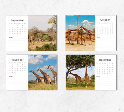 Giraffe Desk Calendar 2027-2028