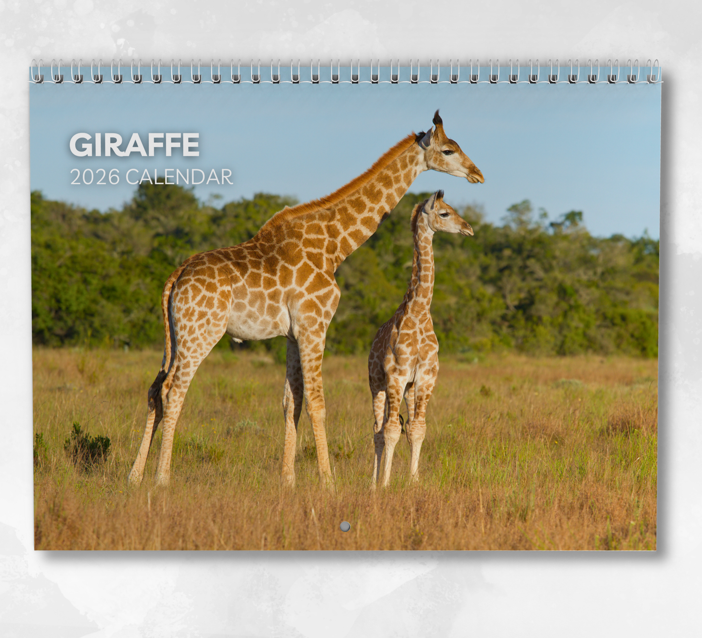 Giraffe Calendar 2026
