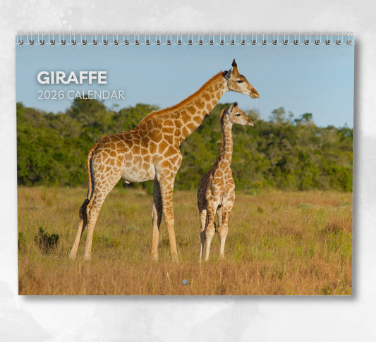 Giraffe Calendar 2026