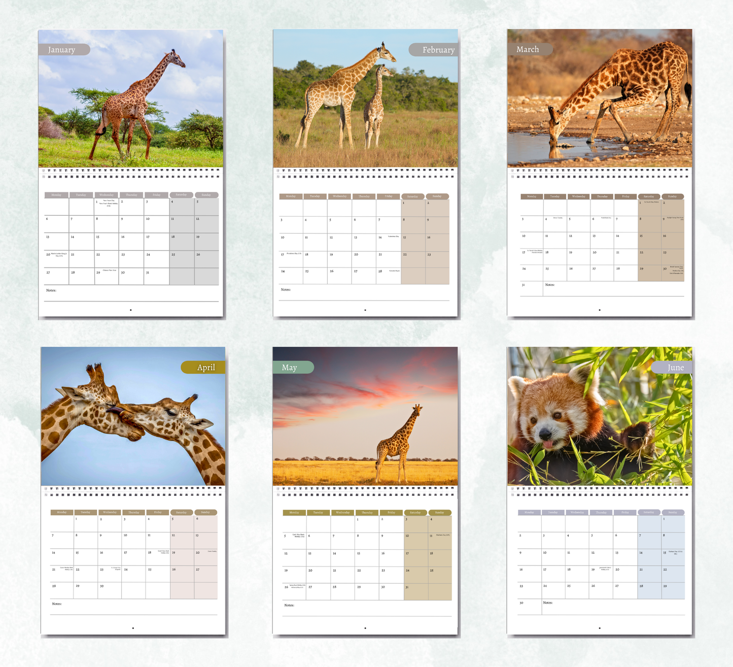 Giraffe Calendar 2026