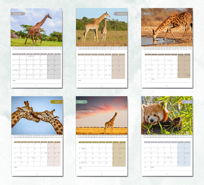 Giraffe Calendar 2026