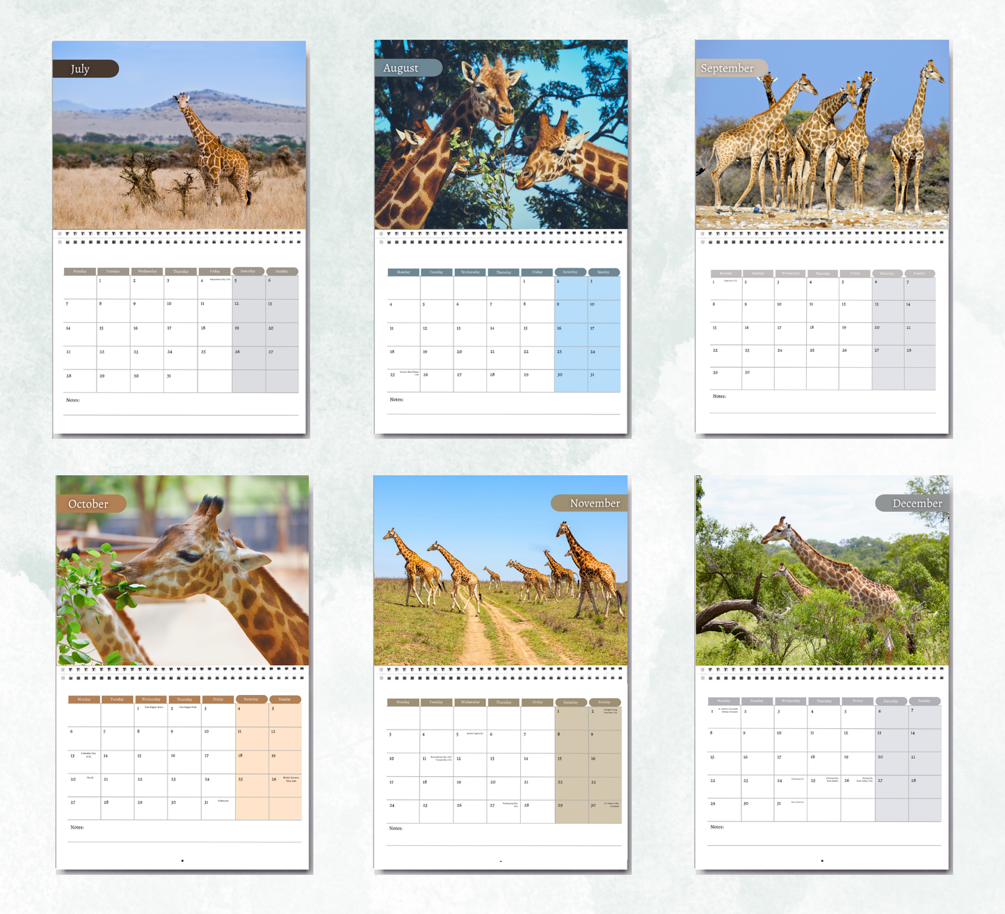 Giraffe Calendar 2026
