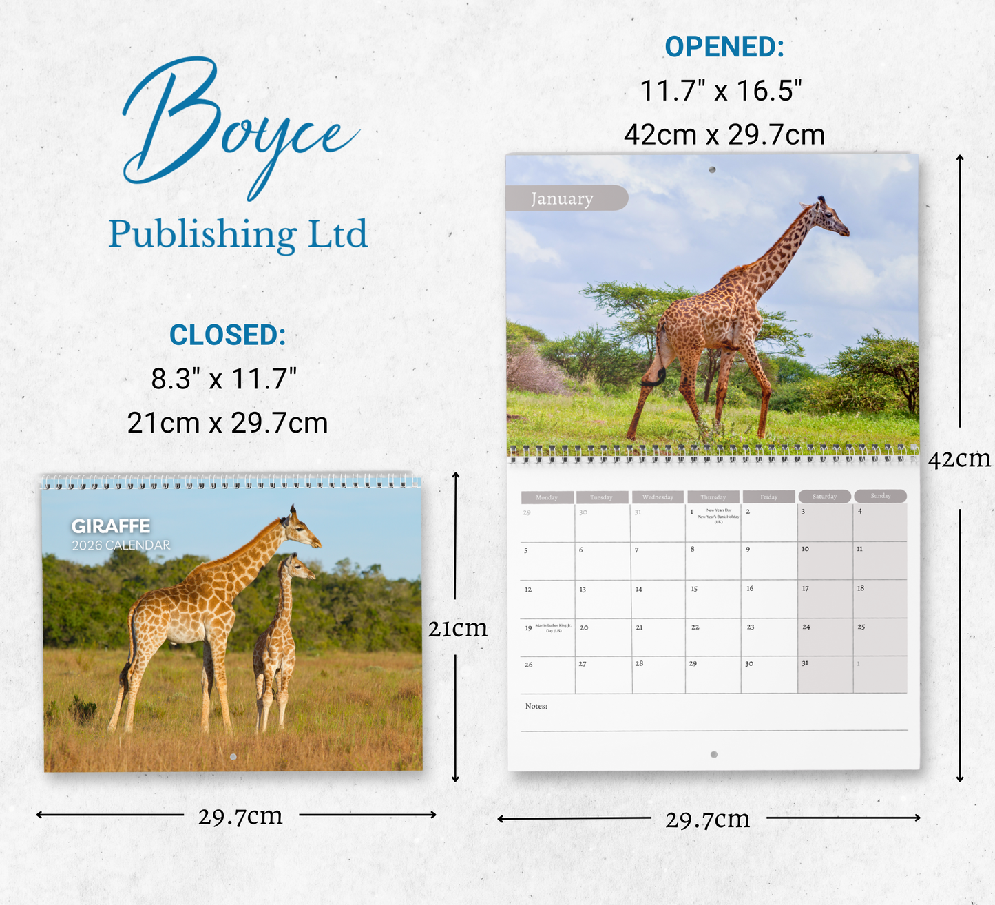 Giraffe Calendar 2026