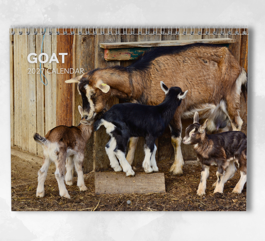 Goat Calendar 2027
