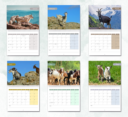 Goat Calendar 2027