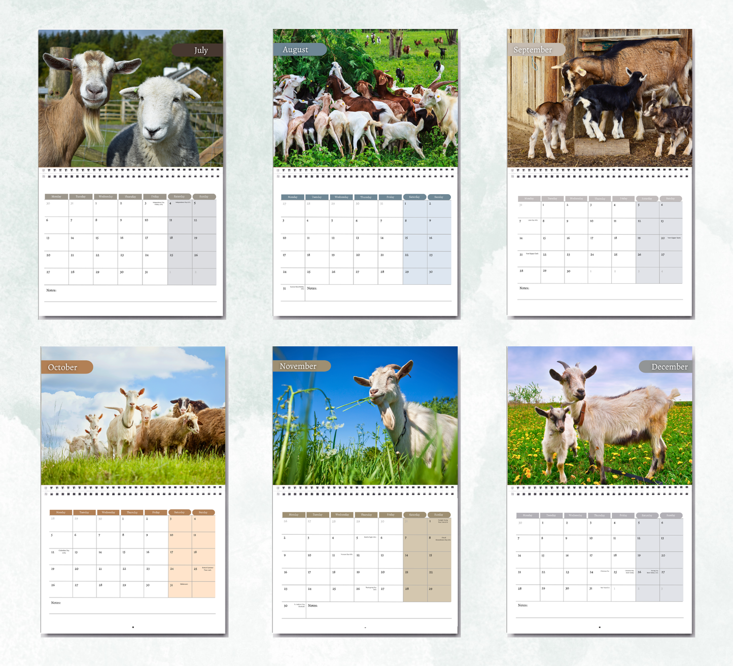 Goat Calendar 2027