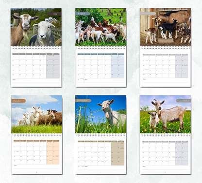 Goat Calendar 2027