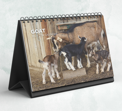 Goat Desk Calendar 2027-2028