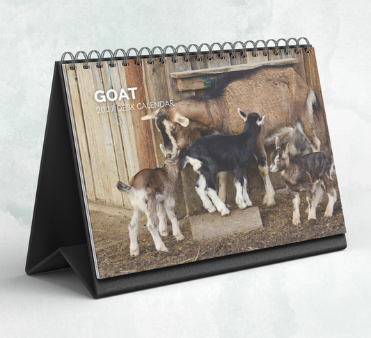 Goat Desk Calendar 2027-2028