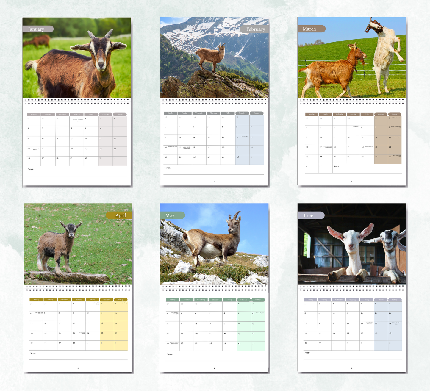 Goat Calendar 2026