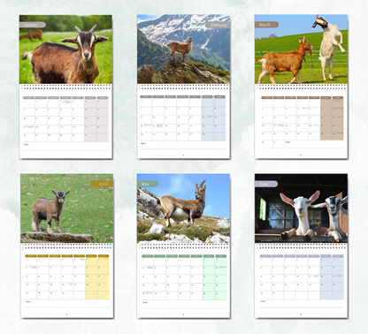 Goat Calendar 2026