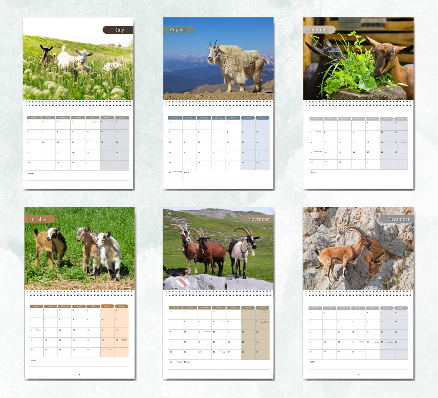 Goat Calendar 2026