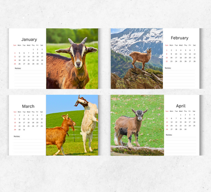 Goat Desk Calendar 2026-2027