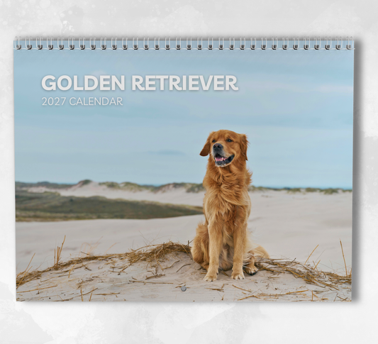 Golden Retriever Calendar 2027