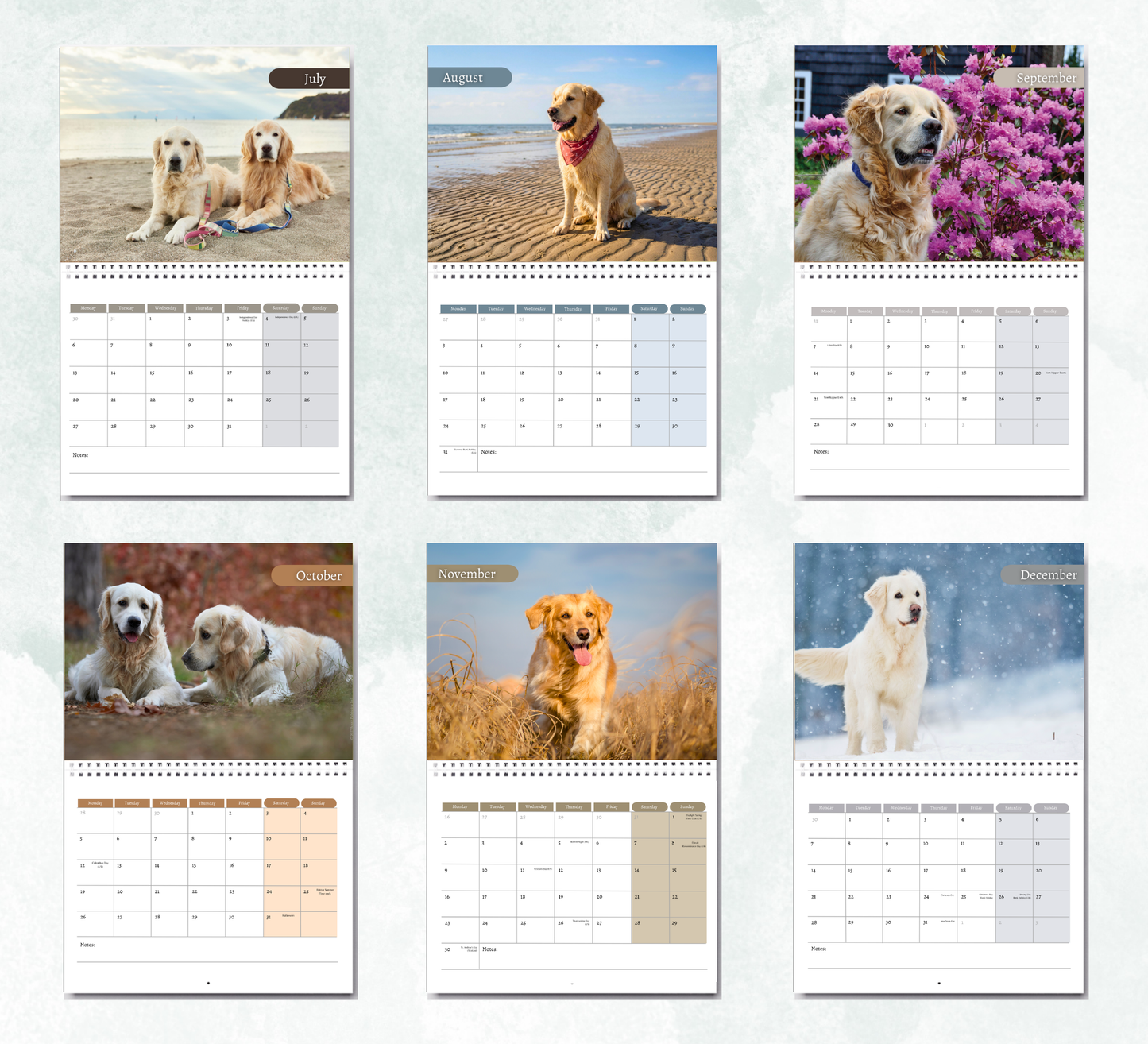 Golden Retriever Calendar 2027