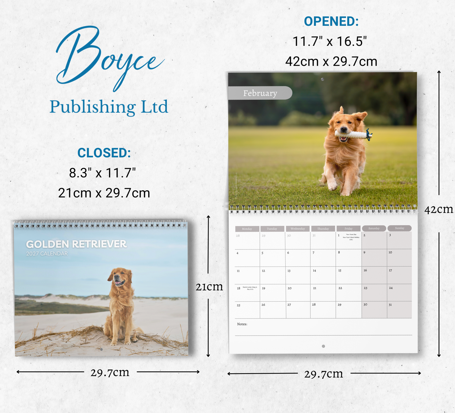 Golden Retriever Calendar 2027