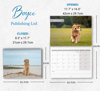Golden Retriever Calendar 2027