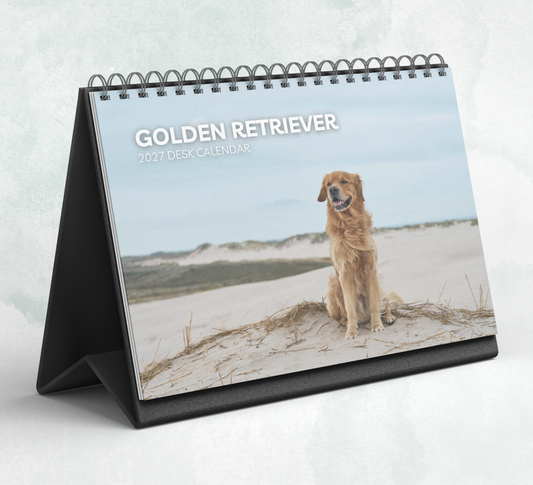 Golden Retriever Desk Calendar 2027-2028