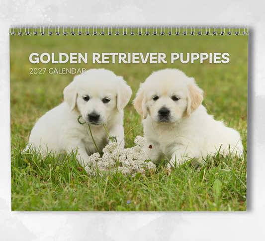 Golden Retriever Puppies Calendar 2027